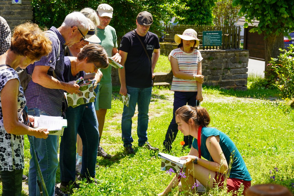 offenlandinfo (@offenlandinfo) on Twitter photo Blühende Vielfalt erleben
Das #Grassworks Projekt lud am 23.06.24 Hainrode & Südharz zum Rundgang durch 4 angelegte Blühwiesen im Reallabor Mitte ein. Dabei gab das Team der <a href="/HSAnhalt/">Hochschule Anhalt</a> Einblicke & Pflegetipps für die Etablierung heimischer #Blühwiesen. Blühende Vielfalt erleben
Das #Grassworks Projekt lud am 23.06.24 Hainrode & Südharz zum Rundgang durch 4 angelegte Blühwiesen im Reallabor Mitte ein. Dabei gab das Team der <a href="/HSAnhalt/">Hochschule Anhalt</a> Einblicke & Pflegetipps für die Etablierung heimischer #Blühwiesen.