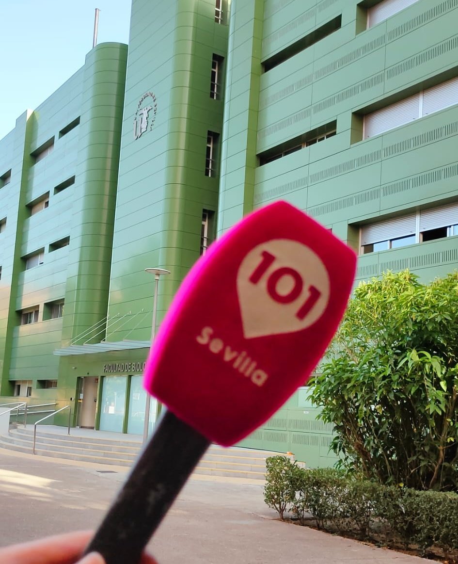 101TV Sevilla (@101tvsevilla) on Twitter photo 🌿 Hablamos con la profesora de Fisiología de la <a href="/unisevilla/">Universidad de Sevilla</a> sobre los beneficios que tienen las vacaciones en la naturaleza. 🌿 Hablamos con la profesora de Fisiología de la <a href="/unisevilla/">Universidad de Sevilla</a> sobre los beneficios que tienen las vacaciones en la naturaleza.