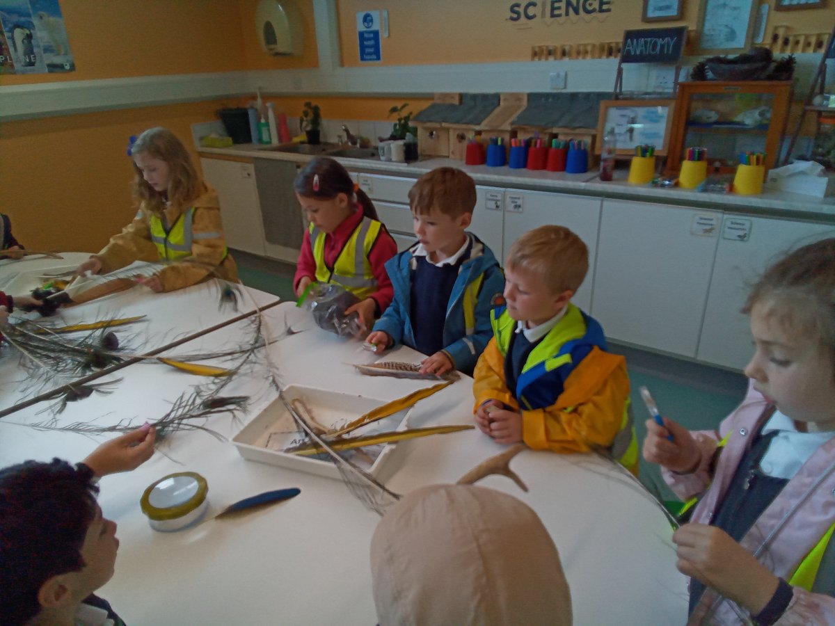 BPSHull's tweet photo. 1NS had the most incredible day on their educational trip to East Park! The children had a zoo walk, we took part in a camouflage workshop and finally, the children used an aerial photo to follow a map and spot different features. I am so proud of you all π³ππ¦#BPSGeography https://t.co/0TOUEpyDE7