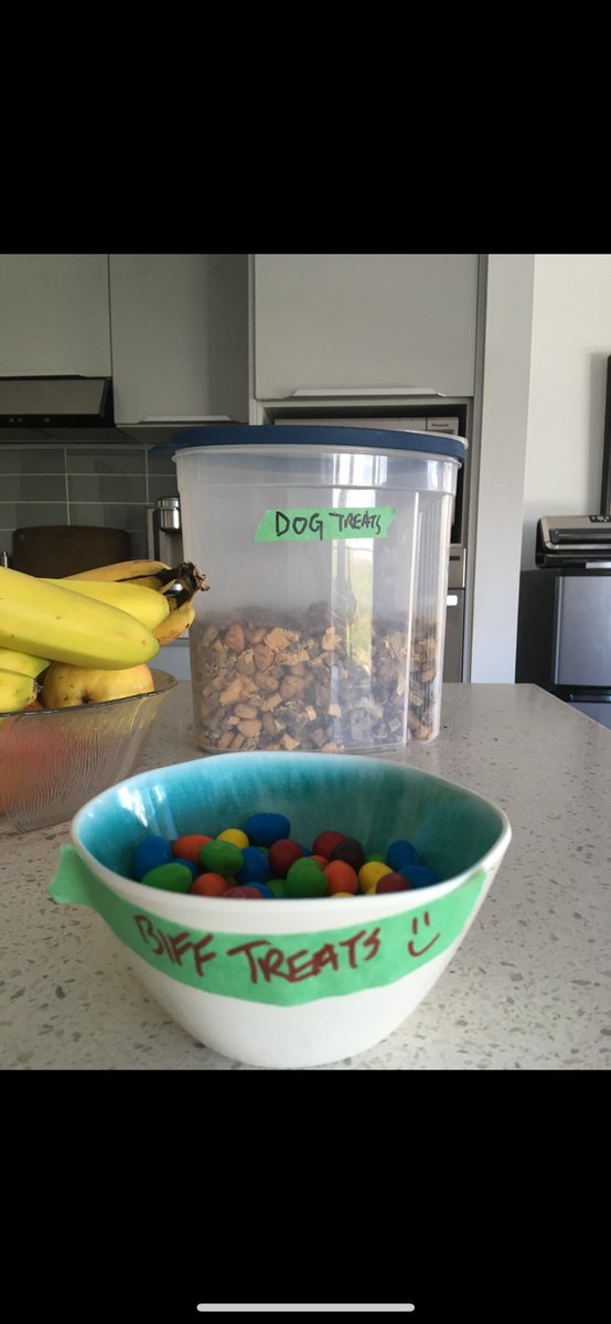 BiffsWerd's tweet image. I was busy celebrating and cooking w my dogs. Chopped cheeses in chick filet sauce and all dressed Chips w All dressed Dog #Happy4thofJuly from Canada