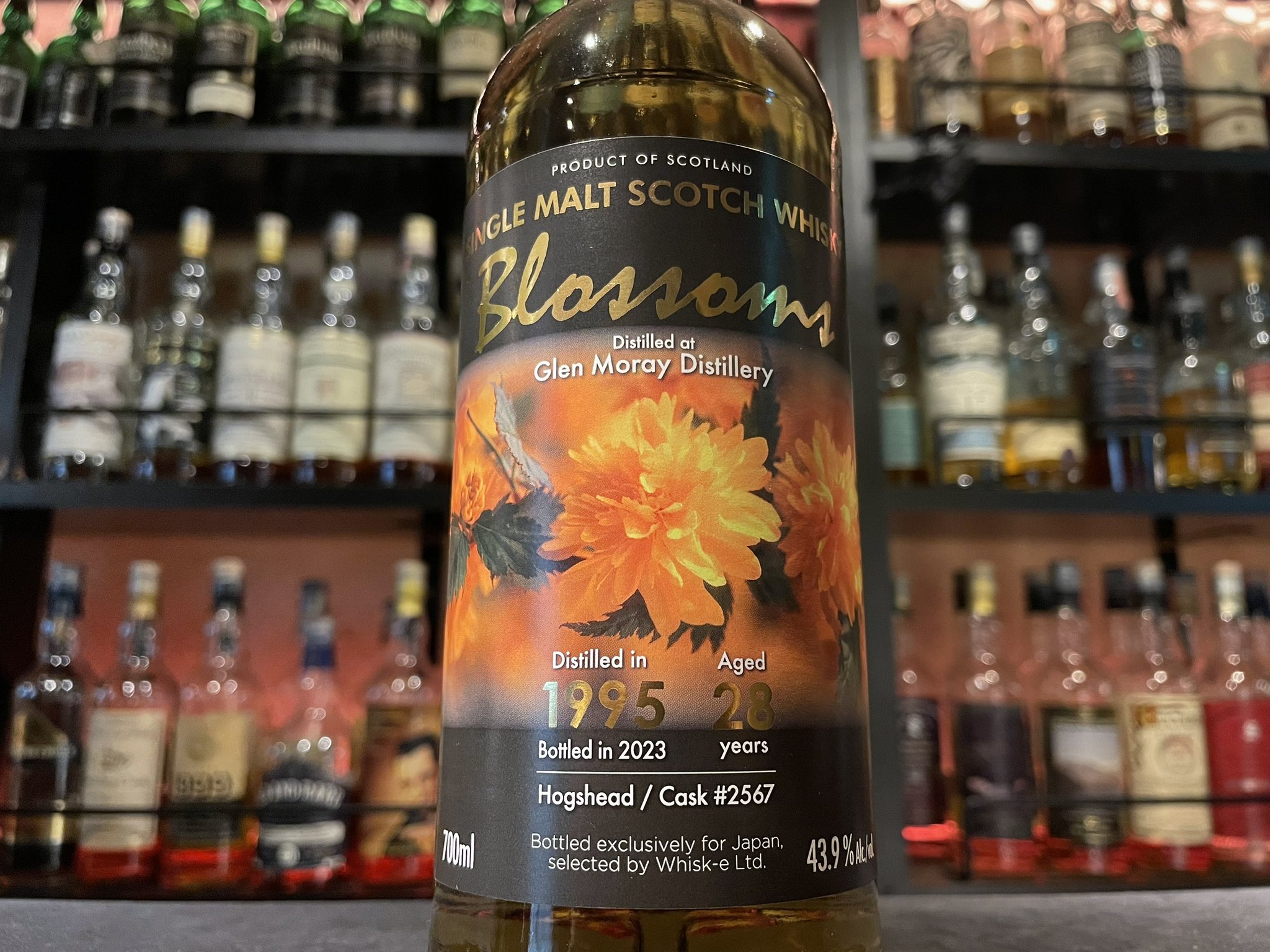 ブロッサムズグレンマレイ28年