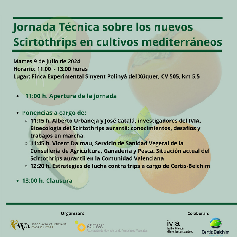 PTecnoagricola's tweet photo. 📌 Jornada Técnica: "Nuevos Scirtothrips en Cultivos Mediterráneos" organizada por la Asociación Valencia de Agricultores (@ava_asaja) y la Asociación de Operadores de Variedades Vegetales (#ASOVAV)
🗓️ Martes 9 de julio
📍 Polinyà del Xúquer
➕ Info ⤵️
https://t.co/1keUwQd8pe https://t.co/zxLj7d41l6