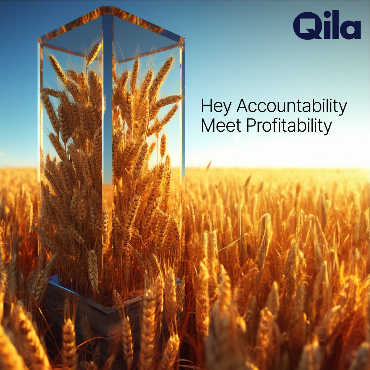 QilaBC's tweet photo. Population rise, climate change, and falling agricultural profits are a threat to food security. To discover how Blockchain can help us create a more food-secure future, click on https://t.co/pTpoZ3Frib #Qila #Blockchain #Tokenization #FoodSecurity #BlockchainInAgriculture https://t.co/jlg4ezxwOV