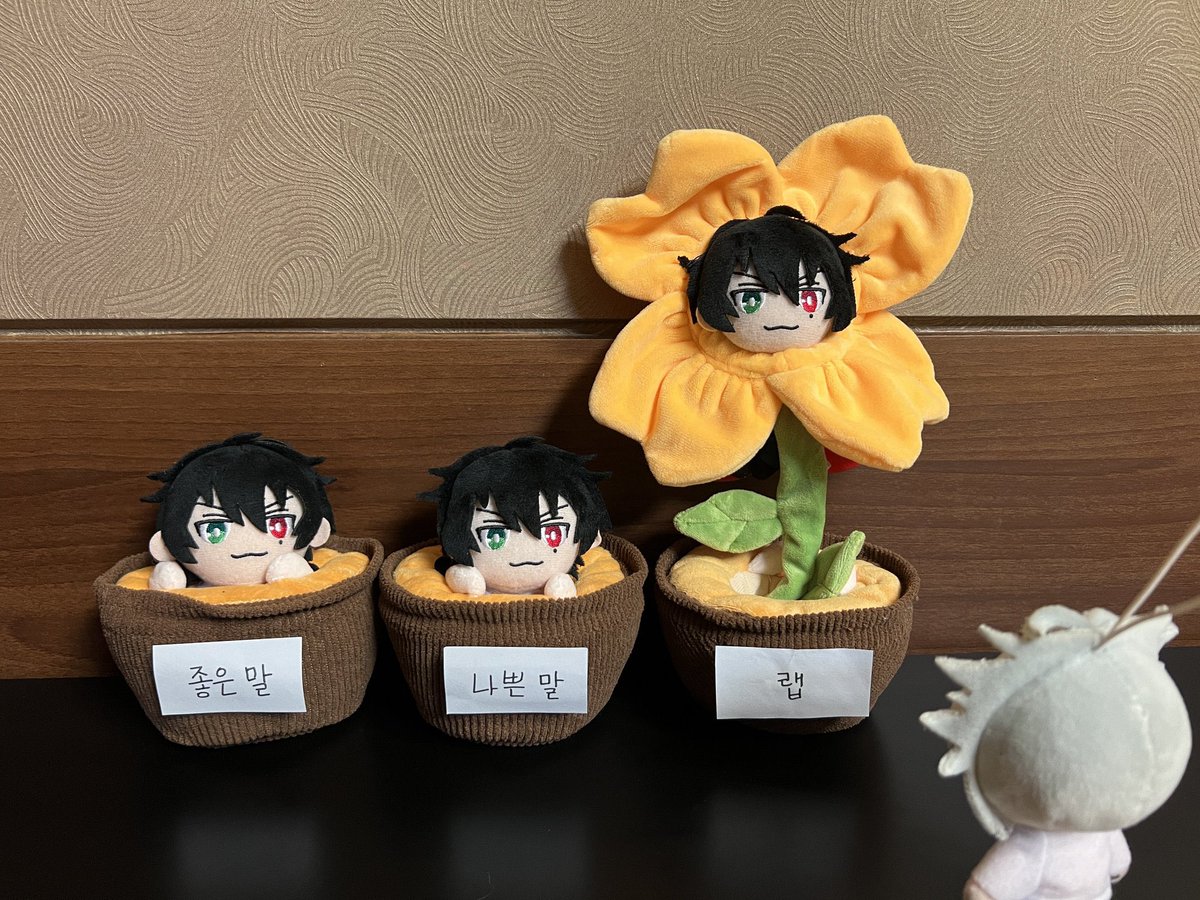 쌀 (@ss_a_l_) on Twitter photo 