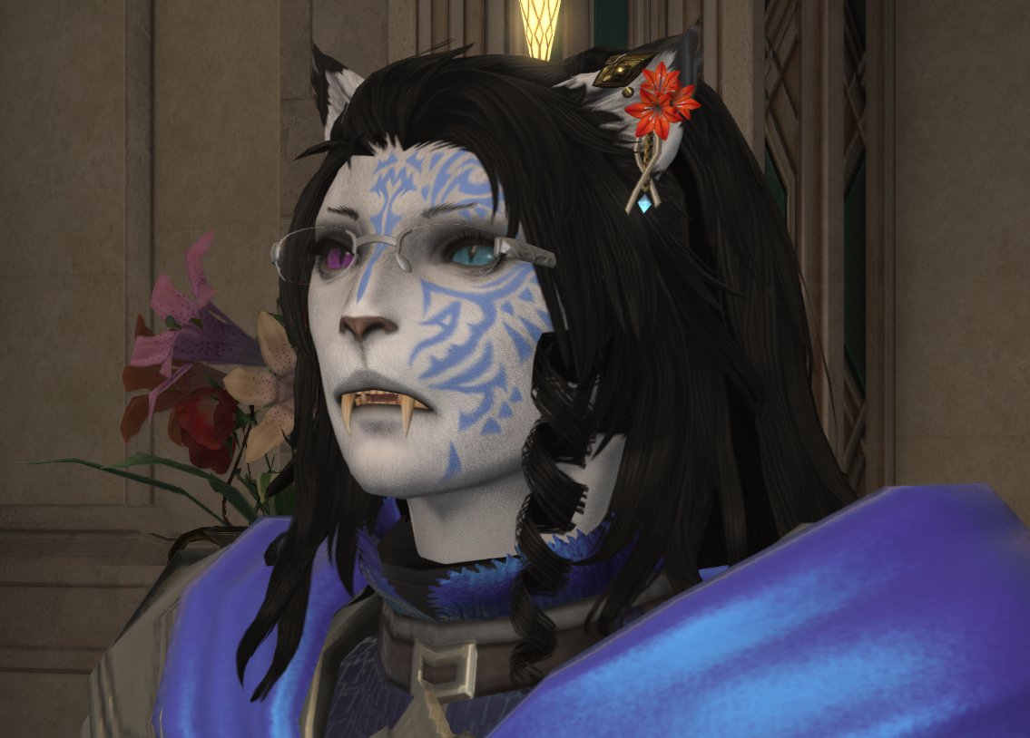 Dum Scottish Tankkat ffxiv tweet media