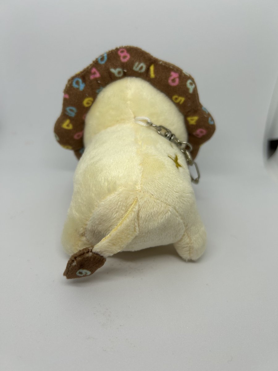 ganji's tweet photo. 簿記ライオンちゃん予想より何倍も可愛い https://t.co/iNDU7DuefF