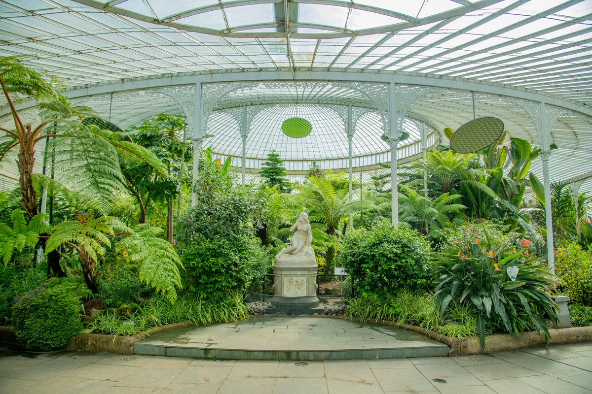 If our bid to host IGC 2028 in Glasgow is successful, we would love to welcome you to Glasgow Botanic Gardens, where over 9000 different plants are cultivated.
The gardens are home to beautiful collections of begonias, tree ferns, and economic and medicinal plants.