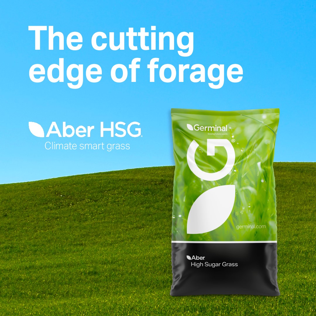 AberGain, AberChoice and AberBann are proven PPI performers, but they are also Aber High Sugar Grasses.
These energy-efficient grasses help livestock capture more protein from grass to reduce harmful emissions and still increase production.
Find out more: germinal.ie/aber-high-suga…
