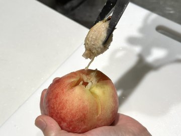 桃のヘタ（上）側に十字の切れ込みを入れたあと、桃の種を引き抜いているところです。