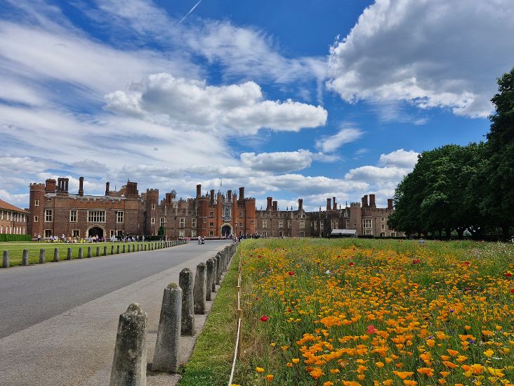 Alison Hill tweet media