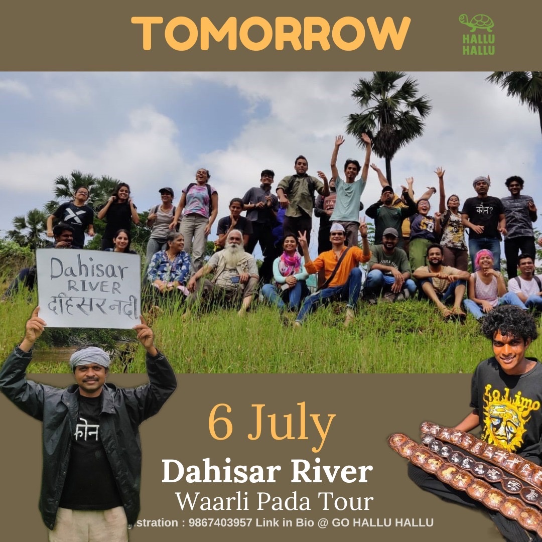 Hallu Hallu tweet media