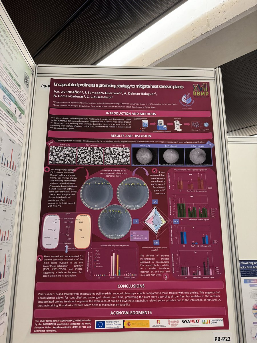 These days I was in the #XVIIRBMP presenting my work related with a new approach to promote plant heat stress tolerance which it is part of my PhD thesis, and #Agroalnext project.