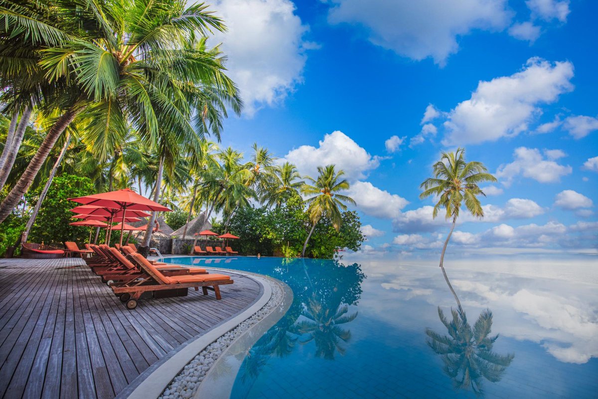 ZaraTours's tweet photo. Enjoy the magic of Zanzibar’s crystal-clear waters, beautiful hotels with nice beaches.
🔗https://t.co/72HpgncnU8
Book Now 👉Zanzibar Safari Tour Package:
📧zara@zaratanzaniadventures.com
#zanzibar #tourism #island #vacation #hakunamatata #besttouroperator #zaratanzaniaadventures https://t.co/b85tlkPDNQ