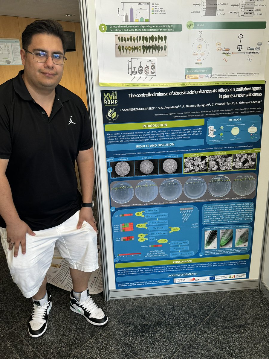 Close to presenting my thesis, I continue working with encapsulated phytohormones. Now, at #XVIIRBMP, I’ve presented my recent research about encapsulated ABA as a tool to enhance Arabidopsis salt stress tolerance.