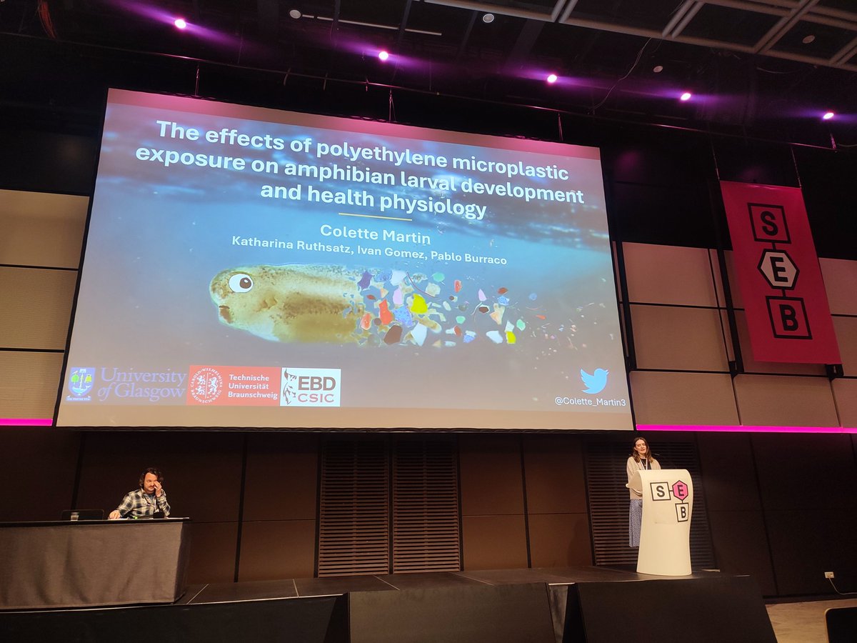 Katharina Ruthsatz tweet media