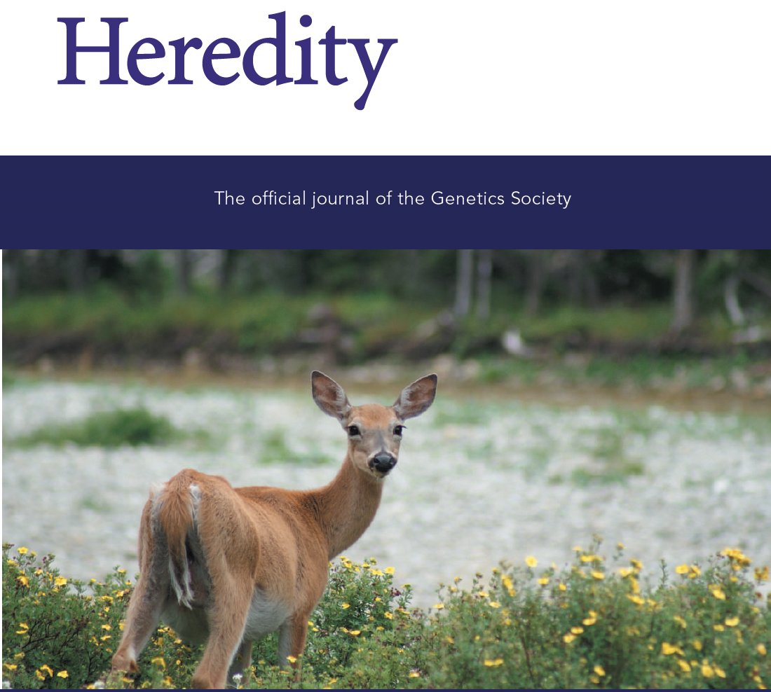 HeredityJournal's tweet image. Check out our latest issue 

go.nature.com/3Warkij

#genetics #genomics #quantgen #arabidopsis #transcriptomics #microbiome