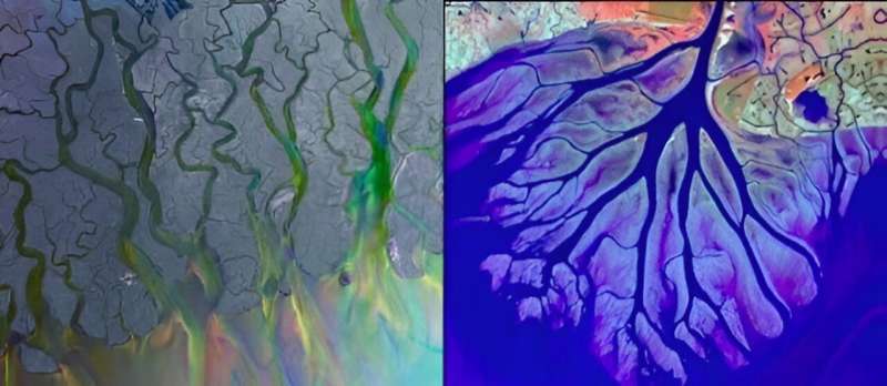PSciencefather's tweet image. &quot;Physicists explore how fluctuations shape transport networks&quot;.

International Research Awards on HEPCS | 25-26 July 2024 | New Delhi, India
Website: physics.sciencefather.com

#CosmicSignal #SpaceMystery #NeutronStar #FastRadioBurst #FRB20220912A #ASKAPJ19352148 #Astronomy