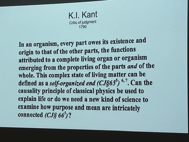 Des Higgins Official tweet media