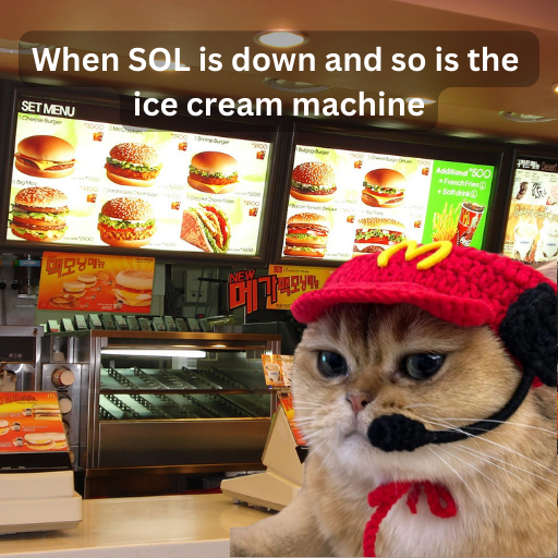 McCat tweet media