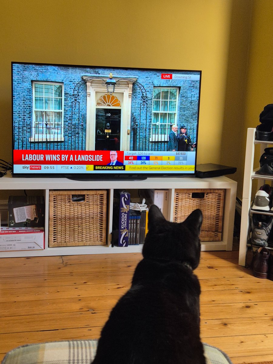 Sooty is waiting to see Larry the cat! #academicswithcats #academiccat #CatsOfTwitter