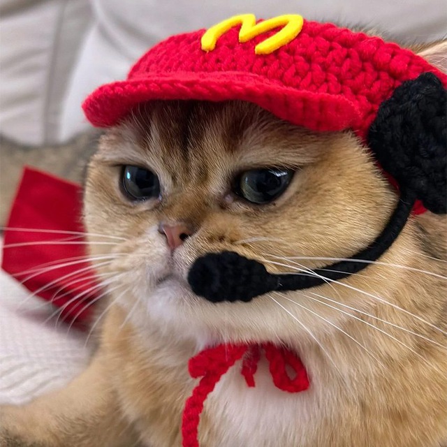 McCat tweet media