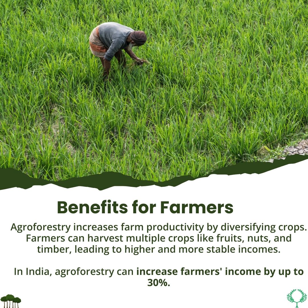 Kosher Climate India (P) Limited tweet media