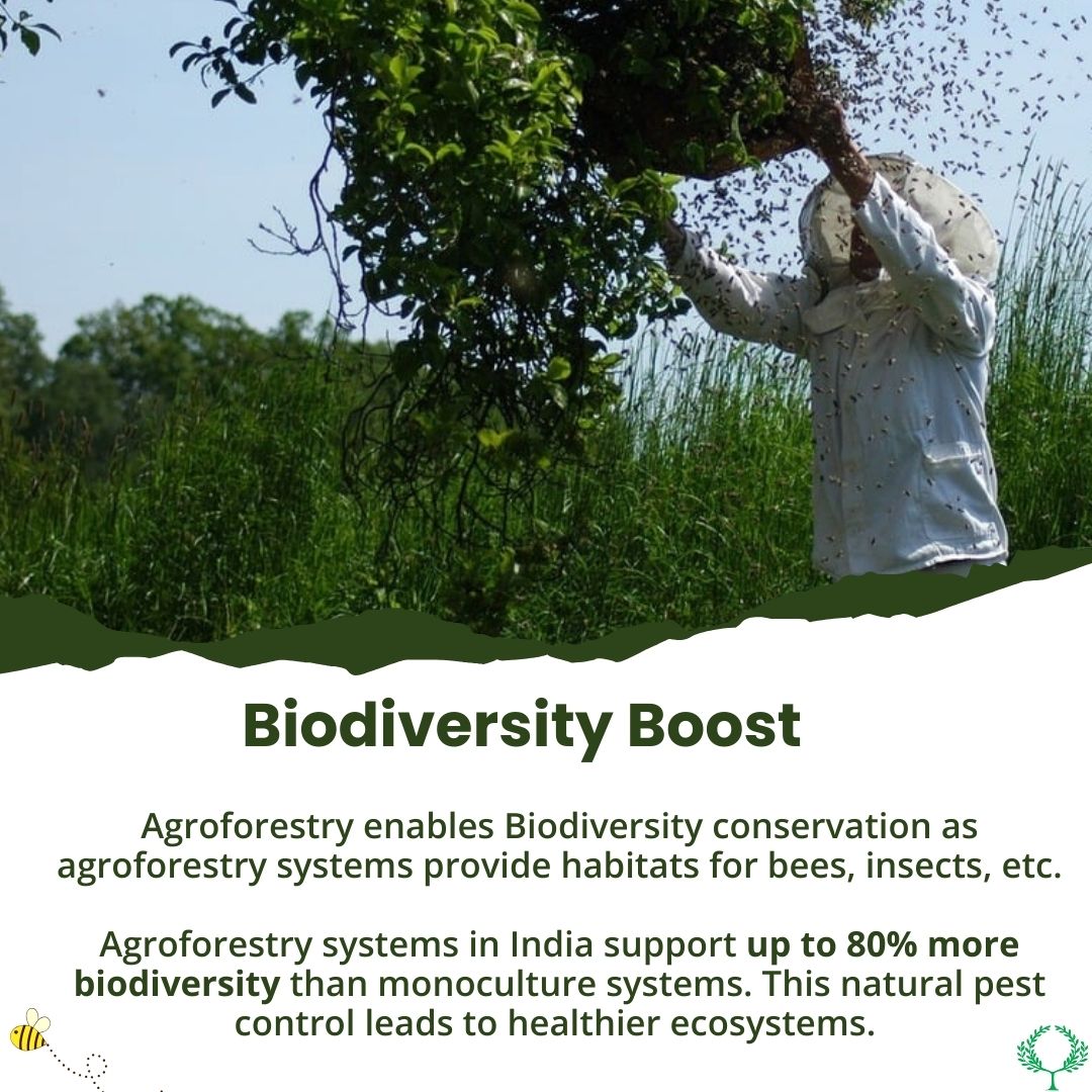 Kosher Climate India (P) Limited tweet media