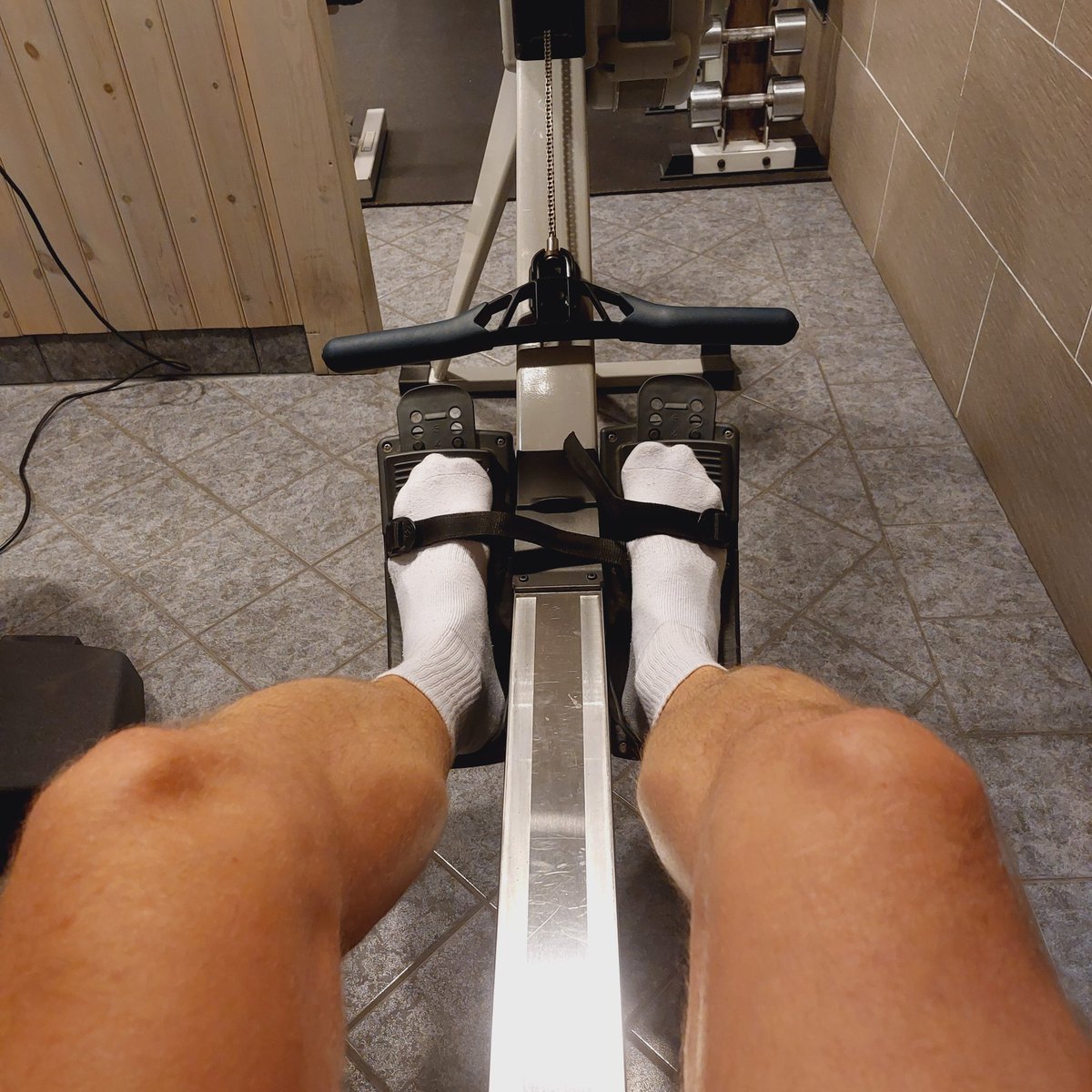 NorthernShard's tweet photo. Had to try the gym at the hotel. Too bad that the hot norwegian guy came just when I had to run to the train. Hinted him that I will be there tomorrow morning too. Hope he will be there too.

#swegay #swedishdicks #gymgay #gay #feet #whitesocks @Scandi_shoutout https://t.co/pRda1zCjPJ