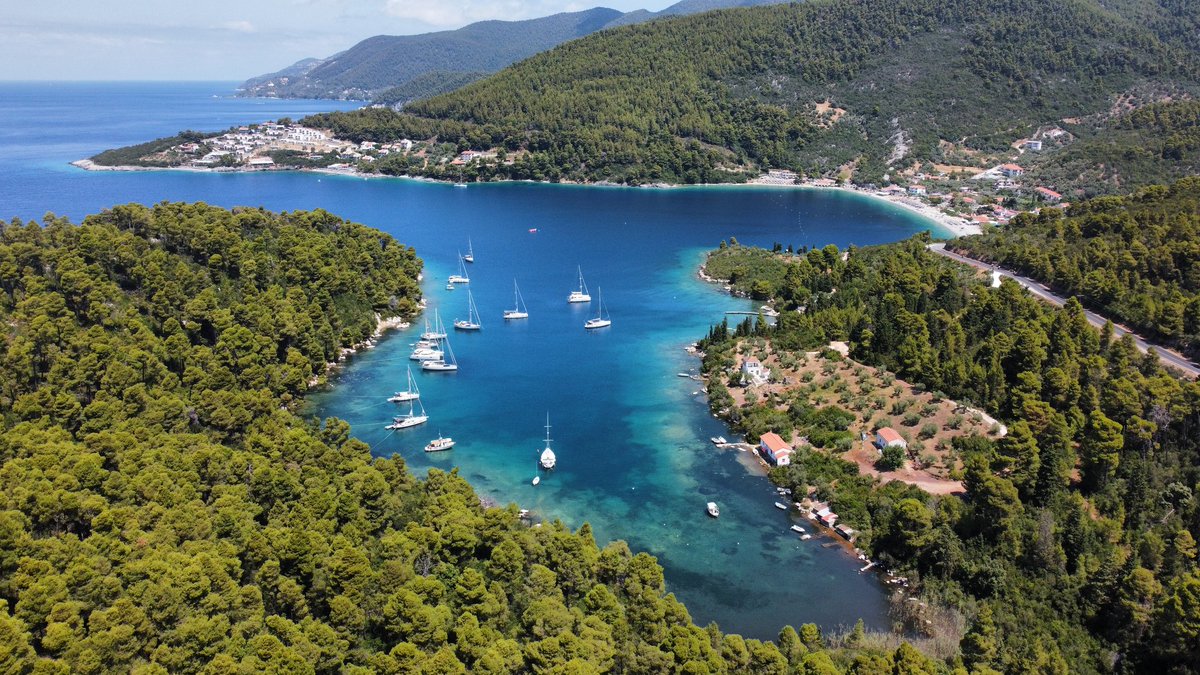 girovagate's tweet photo. #Skopelos, dove il verde incontra il blu!
.
È l'isola più verde della Grecia, 2/3 della superficie sono dalla foresta!
.
Non ci credete?
.
#visitskopelos https://t.co/XxcD6swz2X