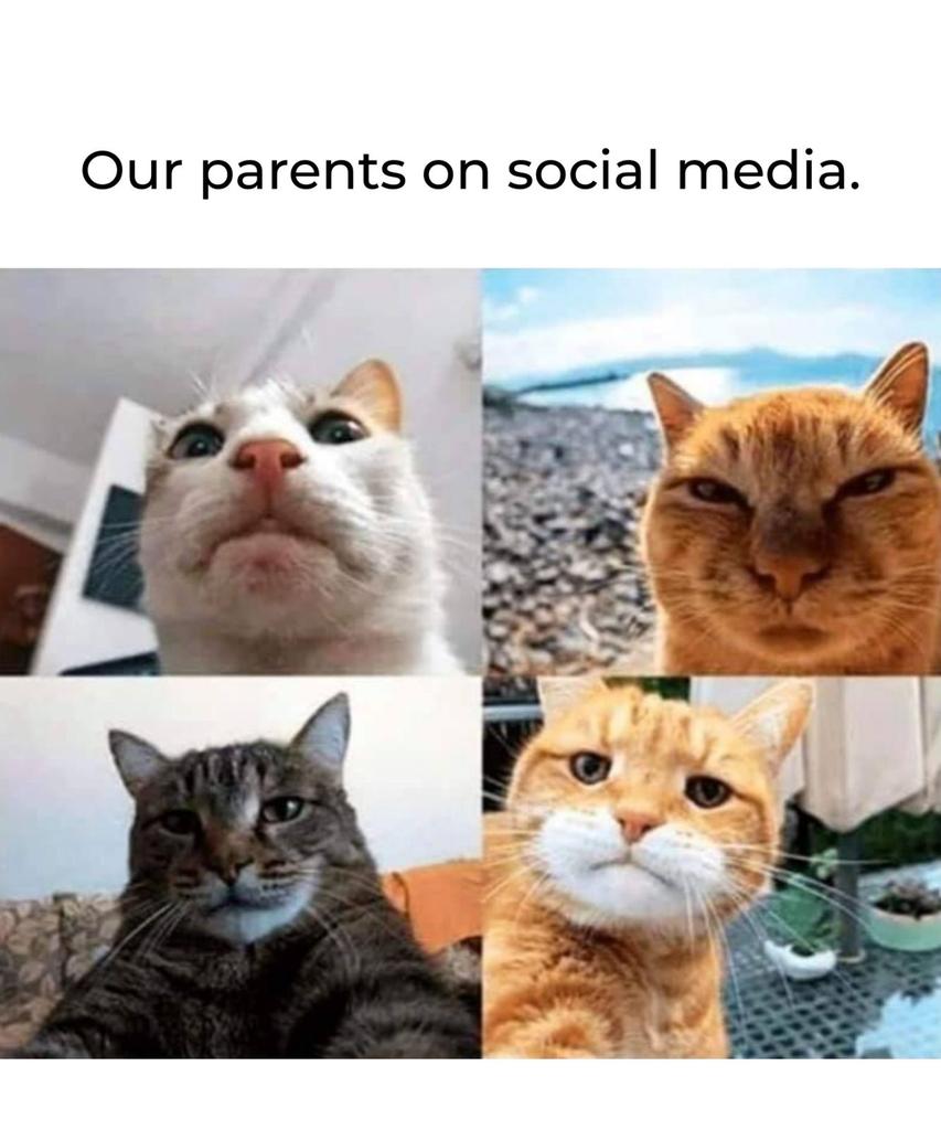 ddmalik__'s tweet photo. Truth😂😂
#horain https://t.co/T1vLmMl2Dg
