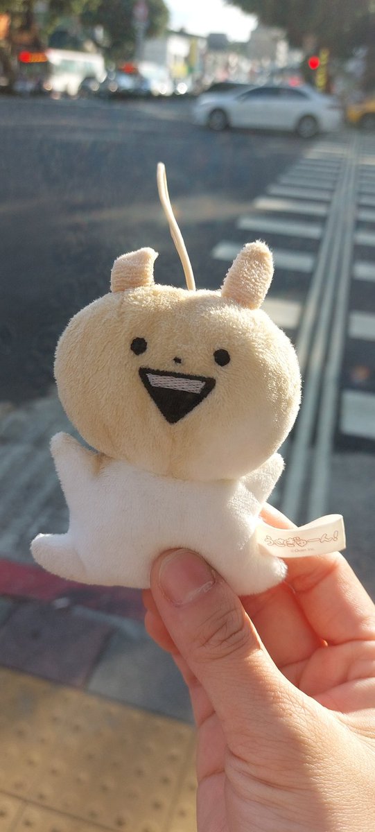 佢去左曬太陽唔話我知

唔係，係我個袋入面杯咖啡唔知點瀉左而突又喺入面