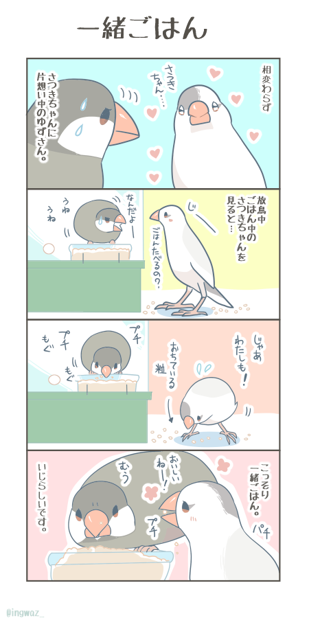 けなげな一緒ごはん。

#Buncho #文鳥 #漫画が読めるハッシュタグ 