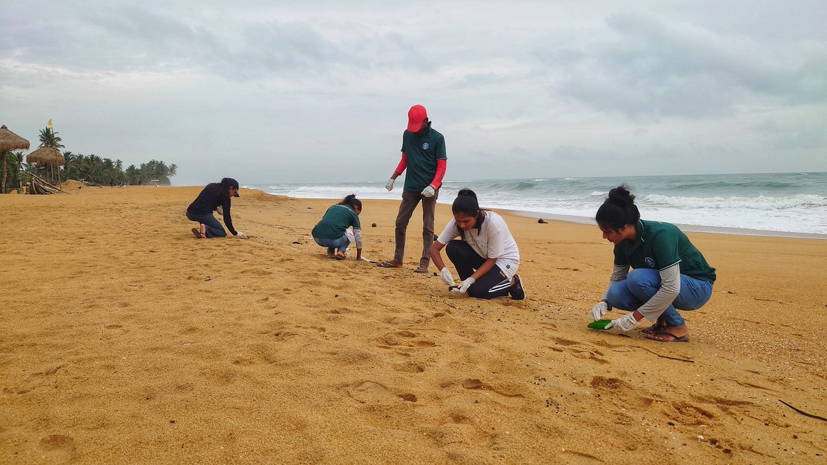 33kg of #oilclumps also known as #tarballs were cleaned yesterday from MtLavinia beach with support of 19 volunteers

During 3 hrs, 1km beach stretch was cleaned from the toxic #oil sedimentation spill which was noticed on 3rd July
#oilspill #SriLanka #Colombo #shipping #maritime