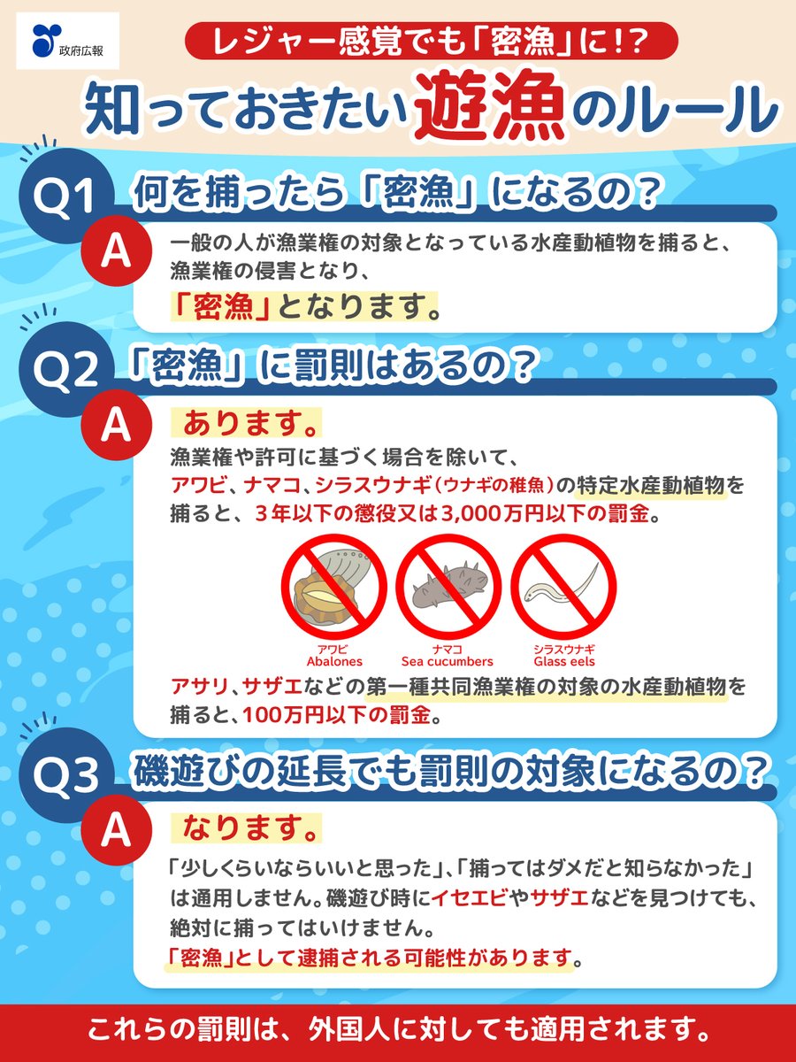 ⚠️自分で食べるだけなら大丈夫？ 知っておきたい遊漁のルール🐟 個人