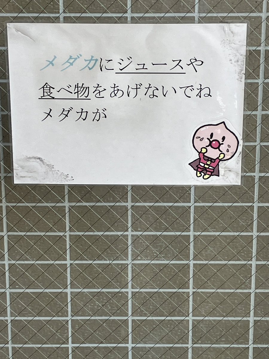 ikiteru313's tweet photo. どうなるのかが知りたい https://t.co/TYtuoAvaDd