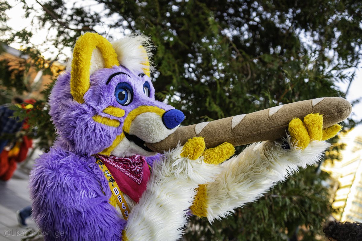OskarJST's tweet image. I love baguettes

#FursuitFriday 

📸 by @LisanSnowTiger