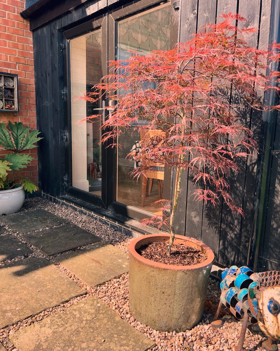 Andy Whittaker tweet media