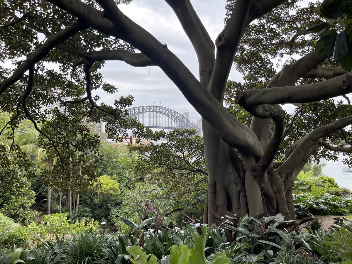 woraperth's tweet image. อยากเป็นกำลังใจให้คนที่รู้สึกว่าชีวิตตอนนี้ไม่แน่นอน

เมื่อ 8 ปีที่แล้ว เราตัดสินใจมาเรียนต่อที่ออสเตรเลีย ในสายใหม่ที่ไม่ค่อยมีความรู้ (และหาวามรู้ในไทยได้ยากด้วยตอนนั้น)

ตอนนั้นก็ไม่รู้ว่าชีวิตจะเป็นยังไงต่อ เงินที่มาเรียนคือเงินเก็บตัวเองตั้งแต่ทำงานมาทั้งหมด…