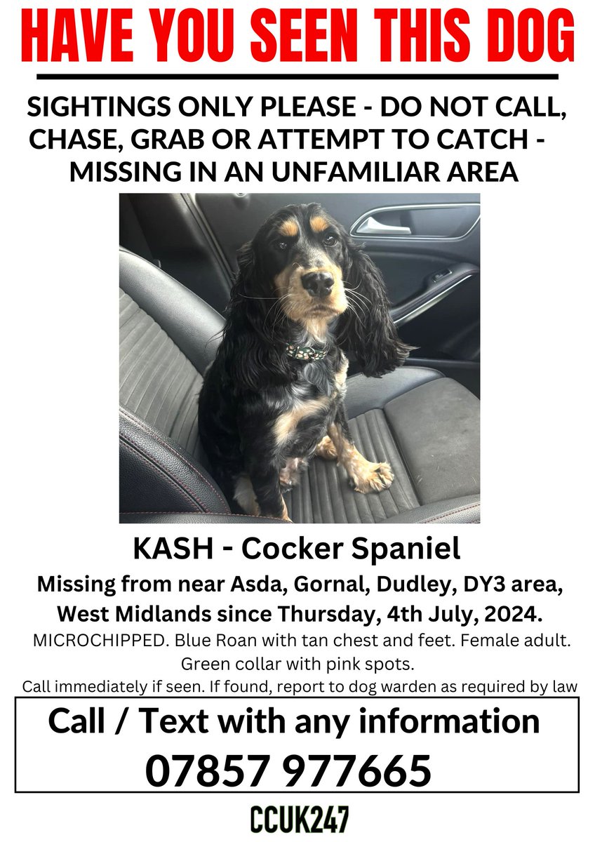 uk_canine's tweet photo. SIGHTINGS ONLY PLEASE - DO NOT CALL, CHASE, GRAB OR ATTEMPT TO CATCH - MISSING IN AN UNFAMILIAR AREA
#KASH IS #MISSING FROM NEAR ASDA, #GORNAL, #DUDLEY, #DY3, WEST MIDLANDS, SINCE THURSDAY, 4TH JULY, 2024.
https://t.co/5mLFdMB0Sx https://t.co/LjIdOp4r0e