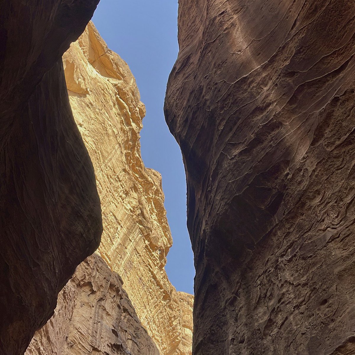 _bbaz's tweet image. الأردن 🇯🇴