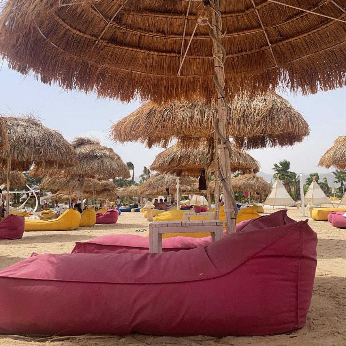 _bbaz's tweet image. الأردن 🇯🇴