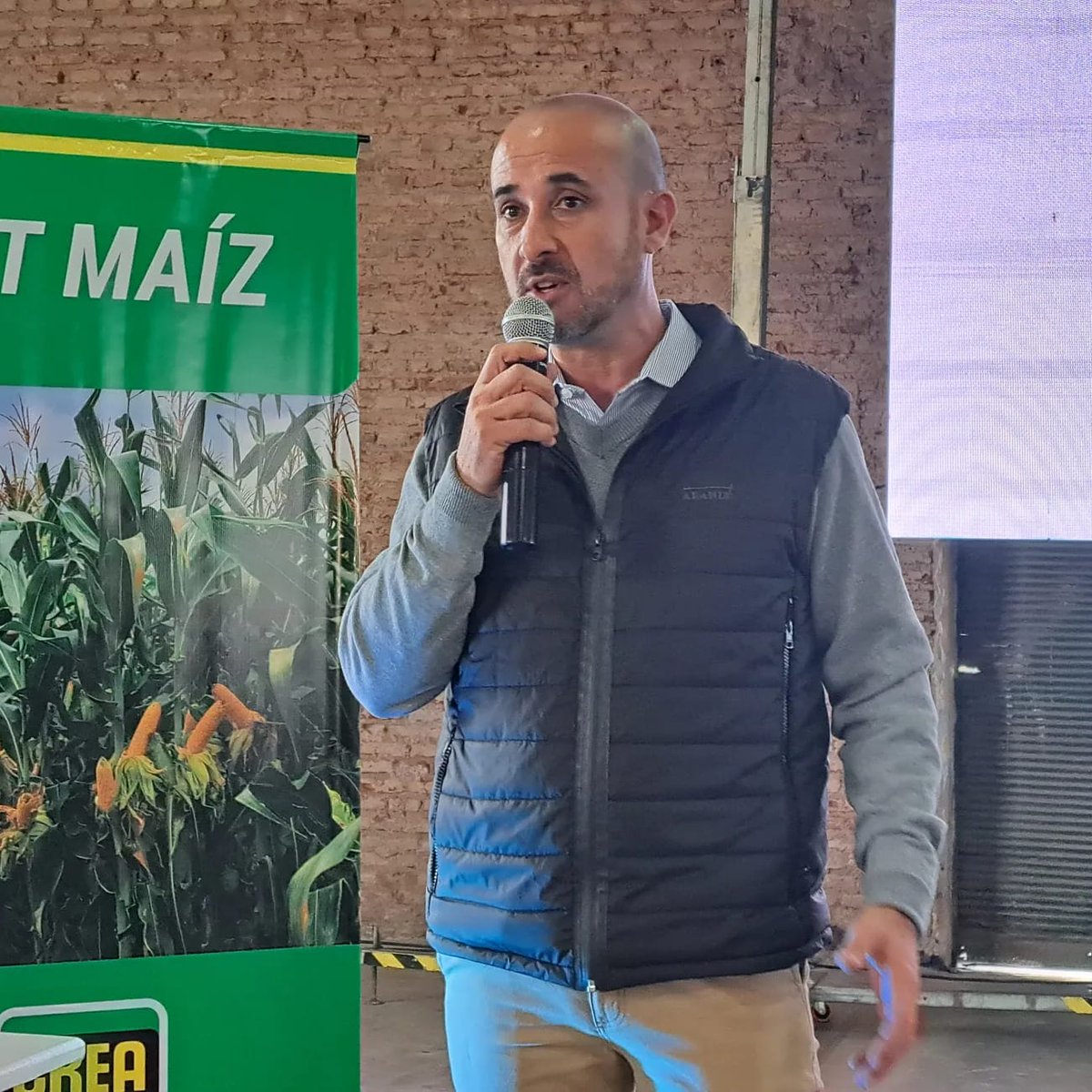 Román Domínguez tweet media