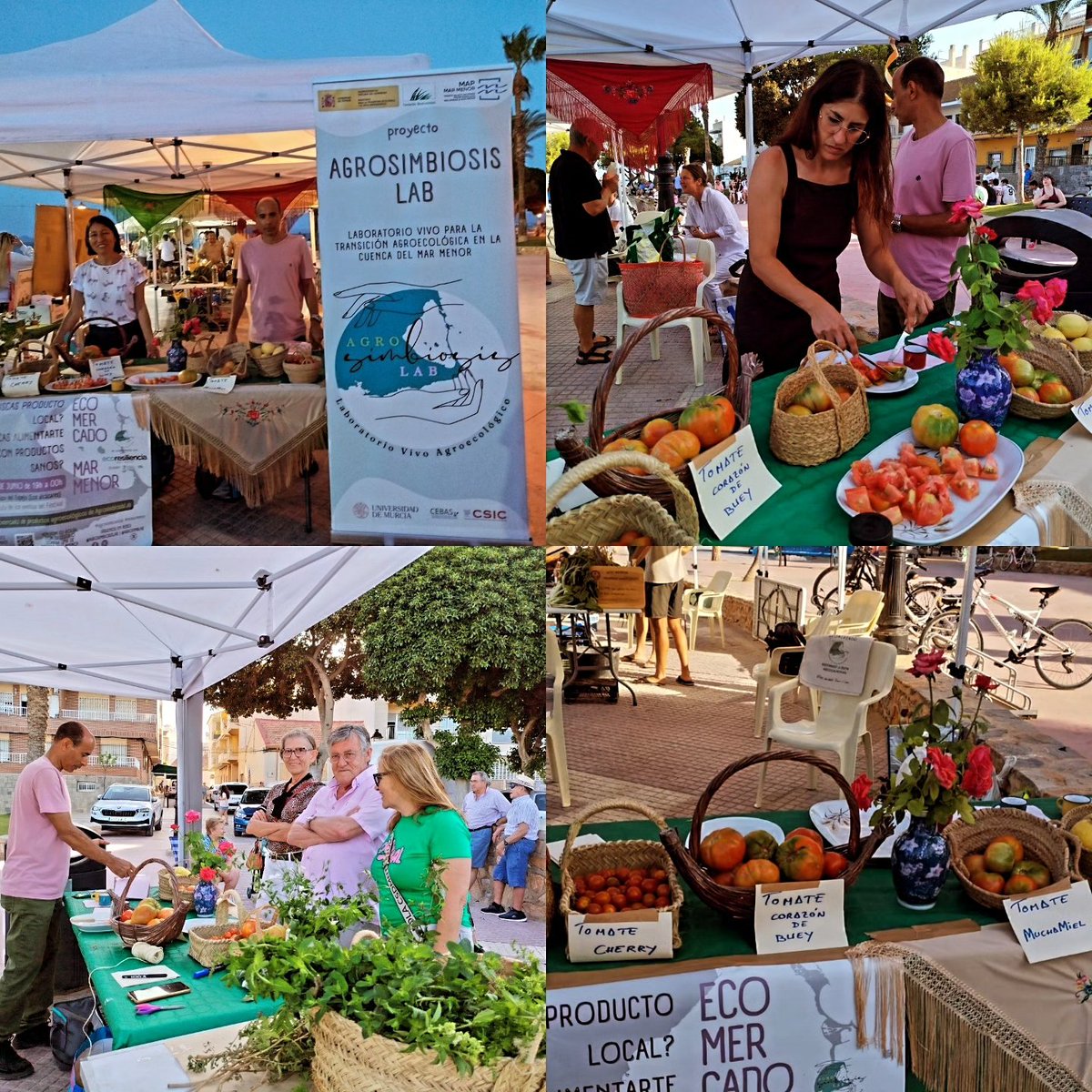 AgrosimbiosisLab (@agrosimblab) on Twitter photo ☀️🌊 Festival #VocesDelMarMenor Los Alcázares, 30 de junio #SOSMarMenor
Mapa🗺️ y tarjetas participativas para agricultores 👨🏾🌾👩🏾🌾 y🌱🌱público en general. Cata de variedades de tomates 🍅🍅
Cuenta con el apoyo de <a href="/FBiodiversidad/">Fundación Biodiversidad</a>
<a href="/OficinaMarMenor/">Oficina Técnica del Mar Menor</a> <a href="/mitecogob/">Transición Ecológica y Reto Demográfico</a> #MiMarMenor ☀️🌊 Festival #VocesDelMarMenor Los Alcázares, 30 de junio #SOSMarMenor
Mapa🗺️ y tarjetas participativas para agricultores 👨🏾🌾👩🏾🌾 y🌱🌱público en general. Cata de variedades de tomates 🍅🍅
Cuenta con el apoyo de <a href="/FBiodiversidad/">Fundación Biodiversidad</a>
<a href="/OficinaMarMenor/">Oficina Técnica del Mar Menor</a> <a href="/mitecogob/">Transición Ecológica y Reto Demográfico</a> #MiMarMenor