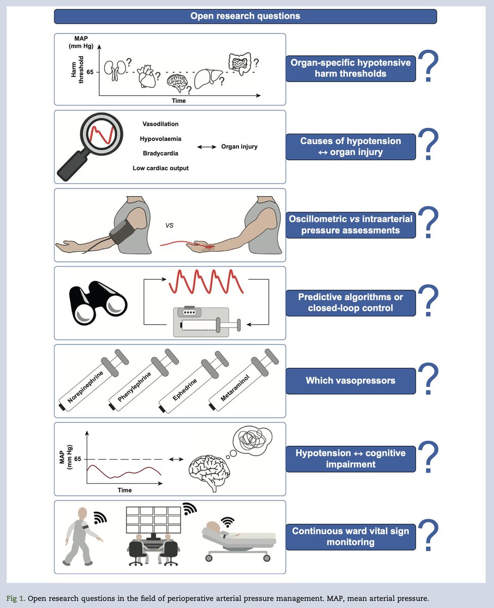 BJAJournals's tweet photo. FREE TO VIEW. PeriOperative Quality Initiative (POQI) international consensus statement on perioperative arterial pressure management #openaccess #bloodpressure #perioperative #anaesthesia

https://t.co/mIOJkYctdj https://t.co/2byj5av64W