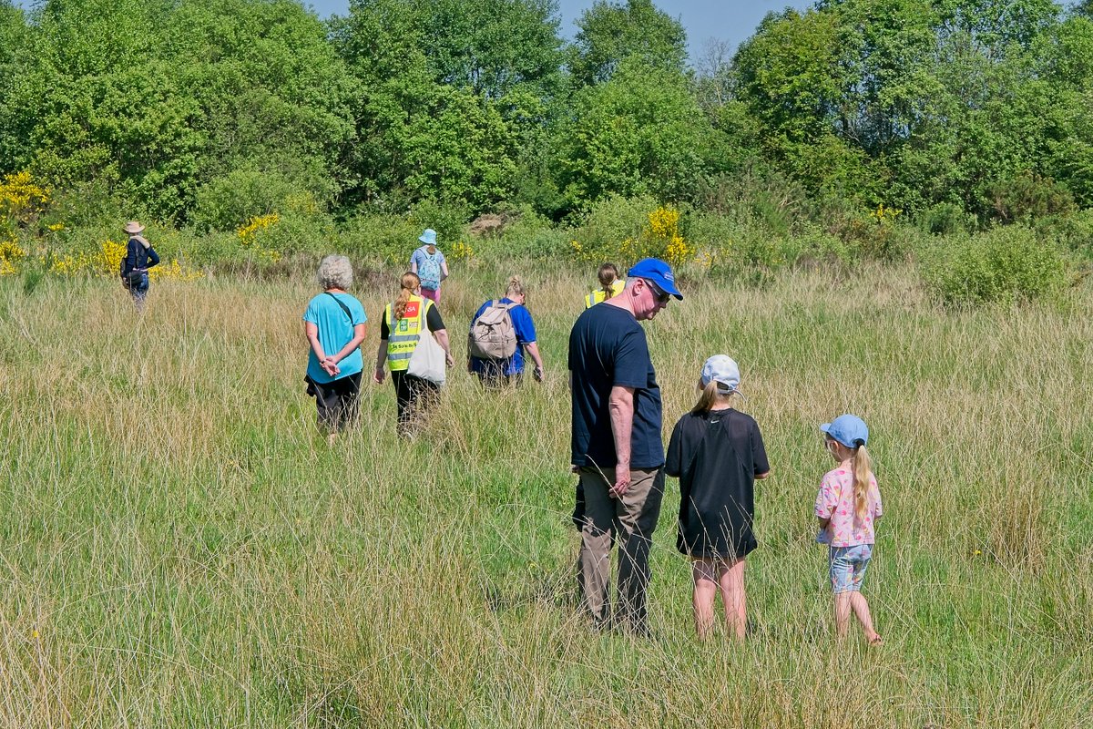 KildareCoCo's tweet photo. Our Biodiversity Office manages projects for the Local Biodiversity Action Fund 2024.  Projects include: Kildare Barn Owl Survey, Kildare Biodiversity Week &amp; Conference, projects on the control of Invasive Alien Species, habitat &amp; species survey &amp; more

#YourCouncilDay https://t.co/rIiGEH6xsl