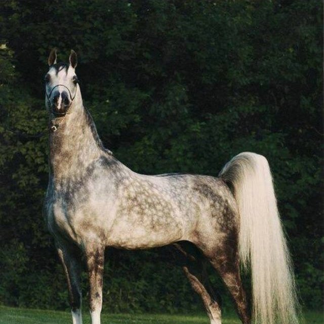 #صورة_ملف_شخصي_جديدة