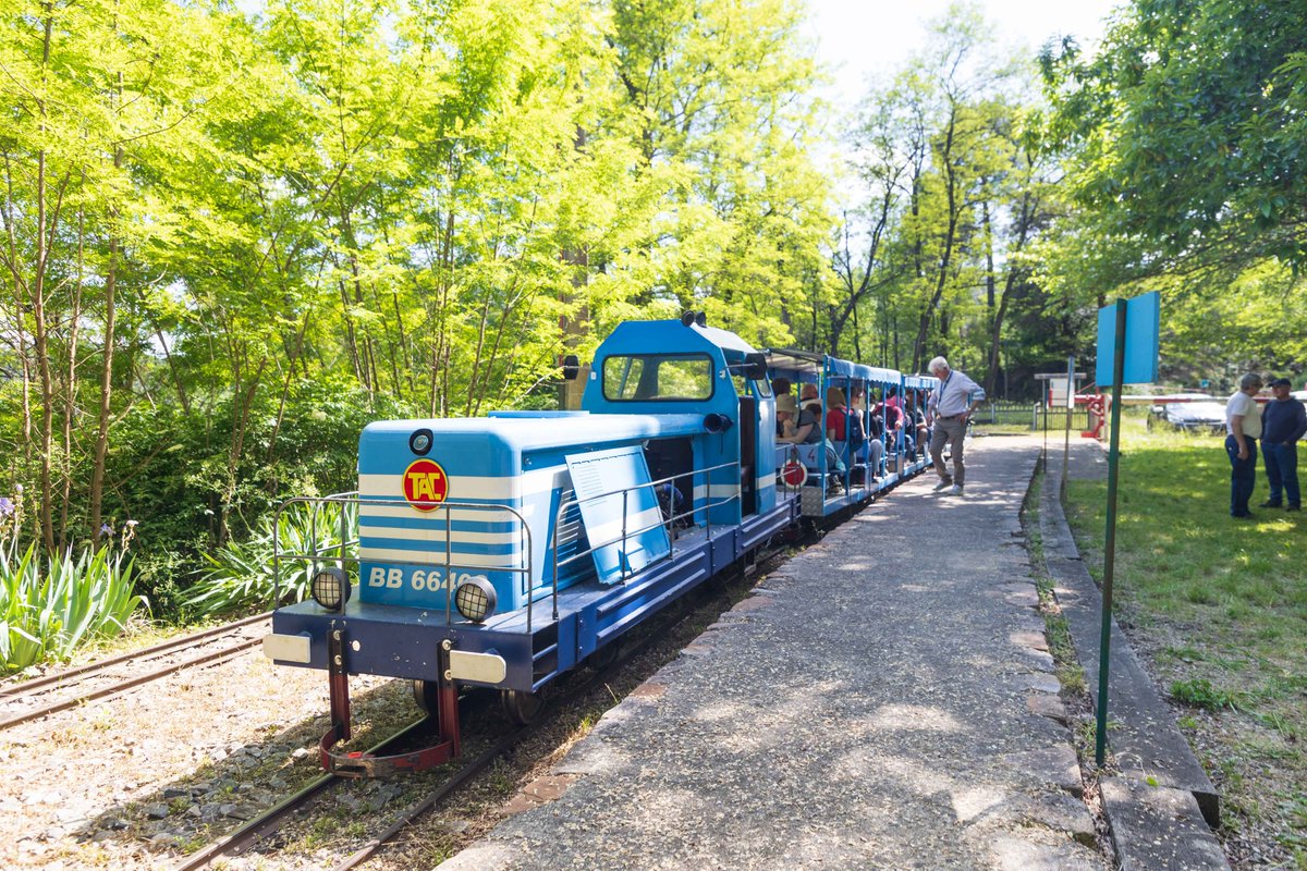 La Lozère 🌿 côté Cévennes sur le blog debeauxlentsdemains.com/lozere-se-ress…📝  Des randos entre châtaigniers et pins maritimes, 🎒 de  bonnes adresses 🍽 🛌, et pleins d'autres idées de sorties 🚂🏡 pour se  ressourcer et se mettre au vert 🙏 dans des paysages idylliques 🤩 #lozere #cevennes