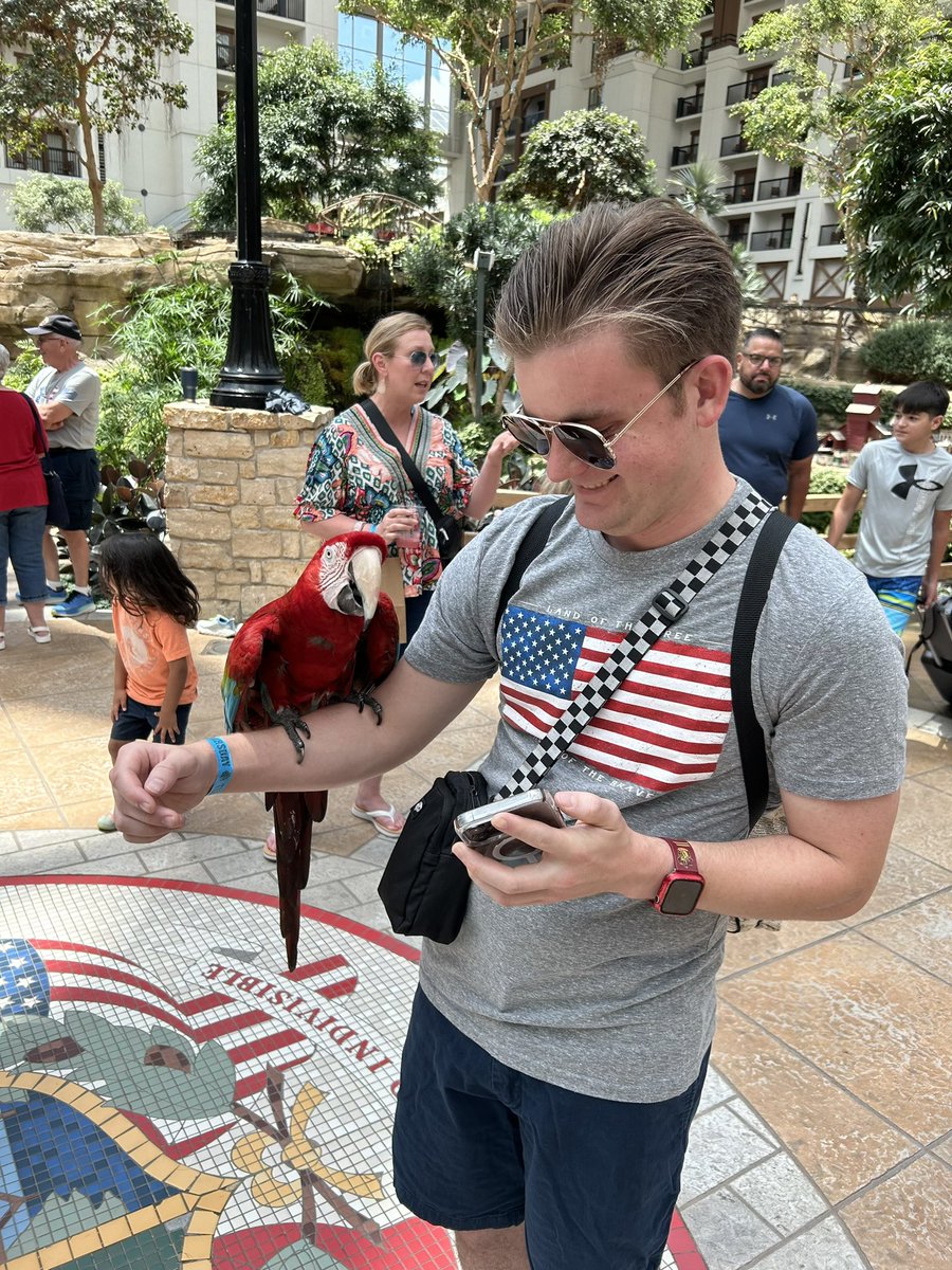 ben3fiddler's tweet image. Who let the birds out! Chirp! 
#wholetthebirdsout #scarlettmacaw