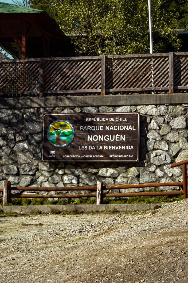 cvalenzuelae's tweet photo. #Concepción: Parque Nacional Nonguén #reabre sus puertas al público tras un mes de cierre preventivo, producto de daños ocasionados por los recientes sistemas frontales que afectaron a la región, señala CONAF. https://t.co/D8DcyRi0pv