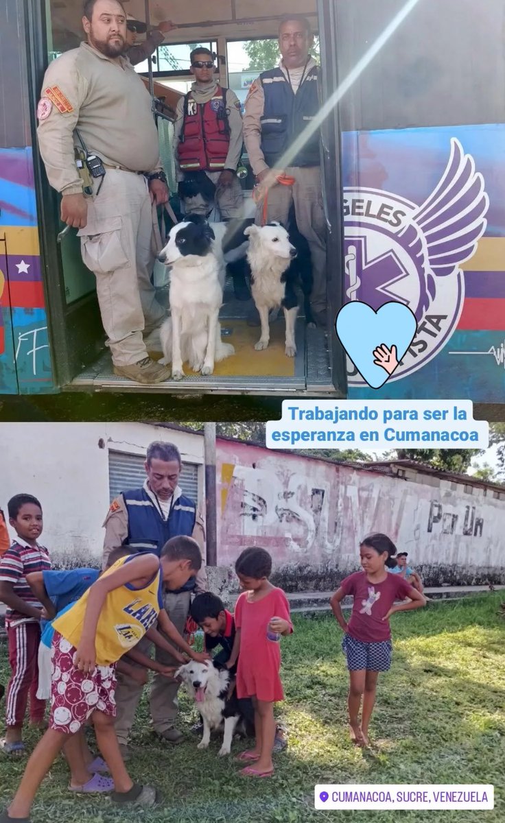 #SUCRE | Arriba al Municipio Montes el equipo de Ksar-Ecid. Equipos caninos de intervención en desastres. 

Indicaron que iniciaron las labores de rescate en la zona para continuar con la búsqueda de desaparecidos.

Foto Cortesía
#05Julio #Inundaciones #Alerta